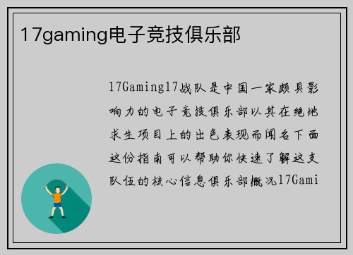 17gaming电子竞技俱乐部